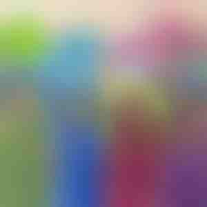 Igračka, jastuk i dukserica sa kapuljačom | PILLOWPET