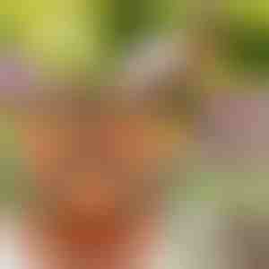 Vaze za cveće koje se mogu slagati (3x komada) | PLANTUP