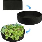 PLANTIE