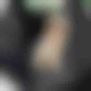 Nepromočiva navlaka za zadnje sedište automobila za pse | CARIPET