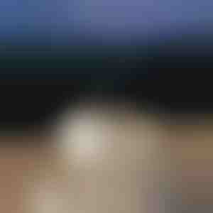 Umirujući difuzer aroma | MEDUSAMIST