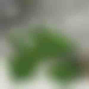 Pločice od veštačkog trave za dekoraciju (5 komada) | GRASSTILE